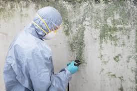 Best Real Estate Mold Inspection  in Nottingham, PA